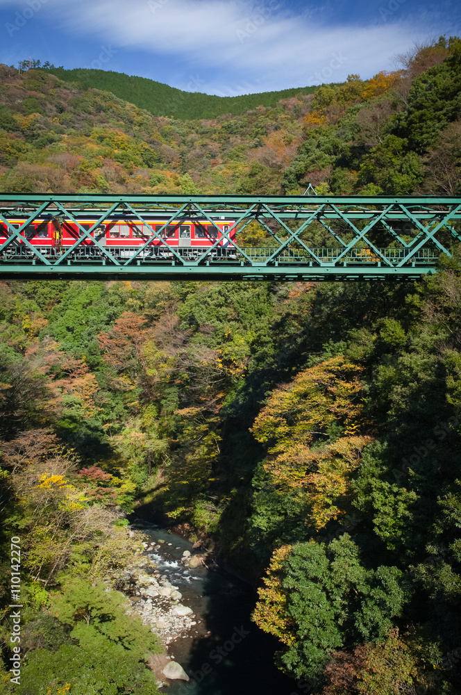 日本箱根町秋季铁路桥和火车的美丽山景