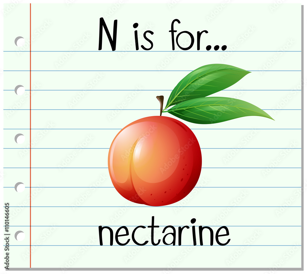 Flashcard letter N is for nectarine