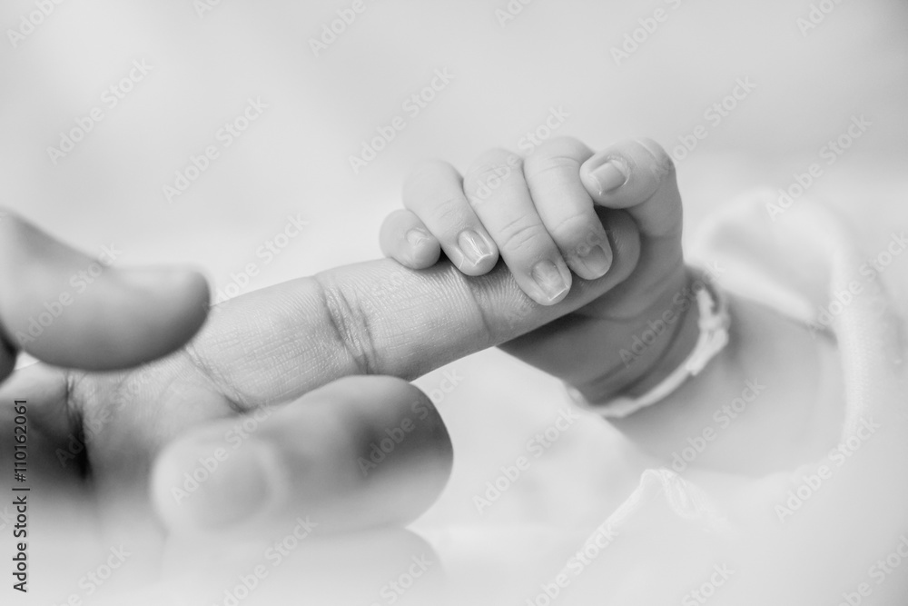 closeup of babys hand gripping adults finger, black and white