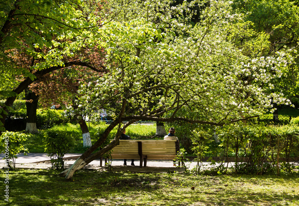 People resting on the bench