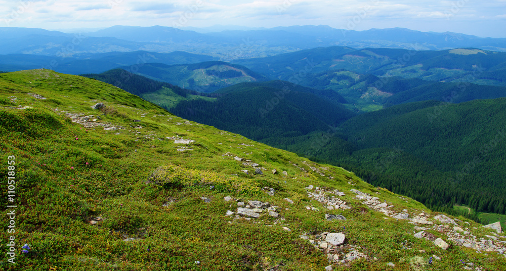 夏日山景