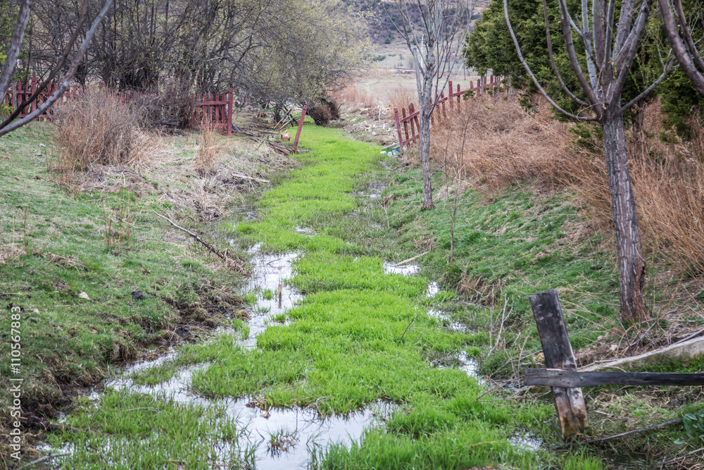 Mountain streams in the woods