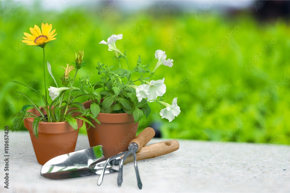 Gardening Equipment.