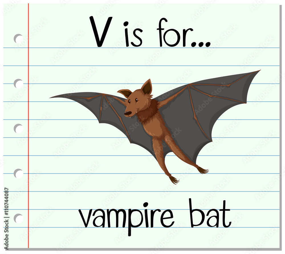 Flashcard letter V is for vampire bat