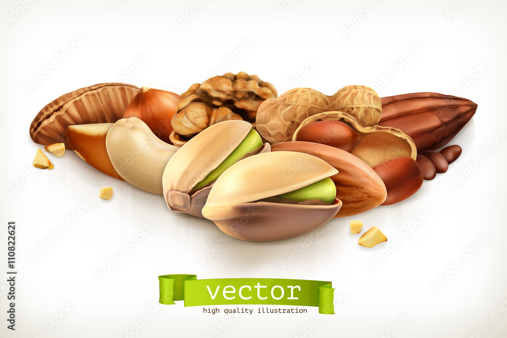 Nuts, vector illustration isolated on white