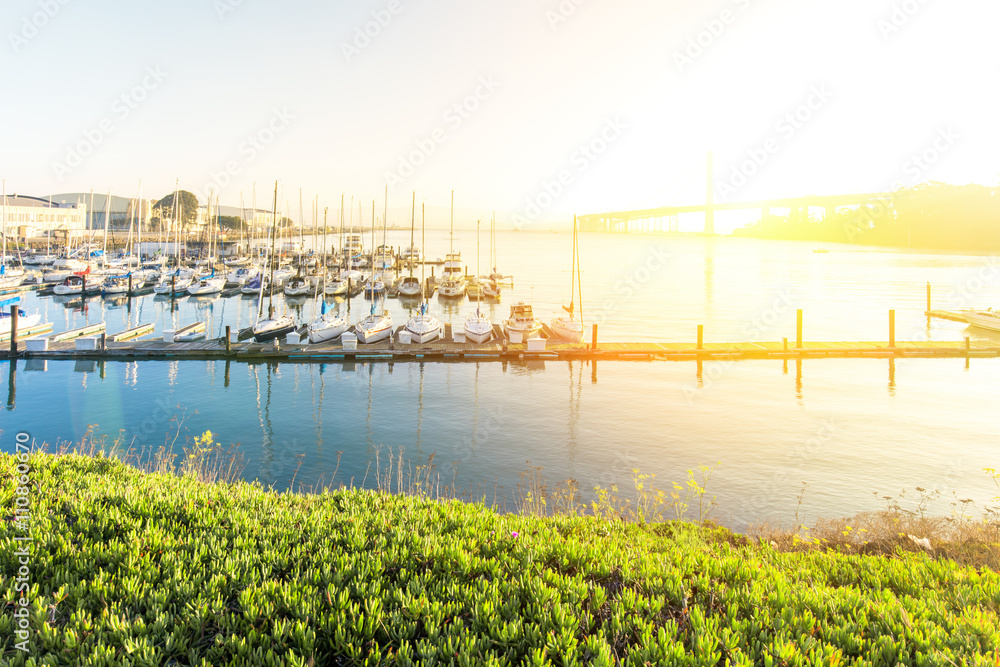 sail boats on tranquil water in the bay of san francisco