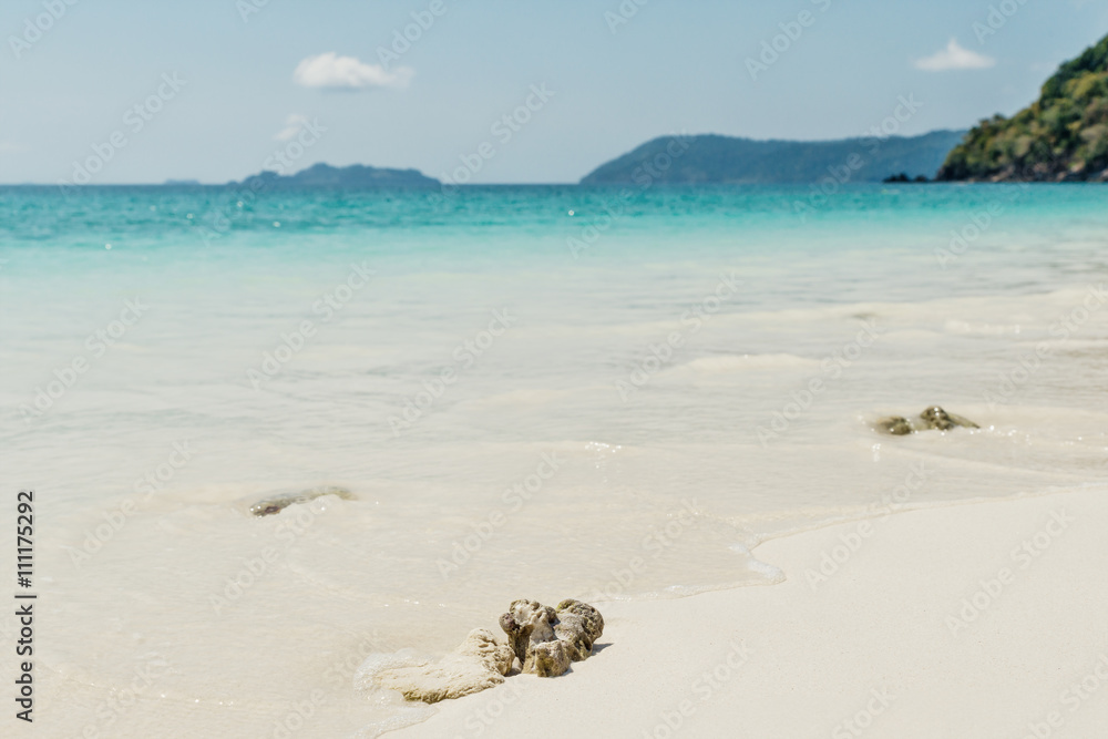 海滨蓝天沙滩阳光日光放松景观景观