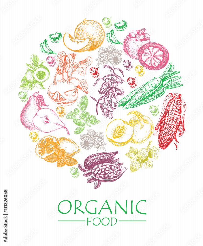 Organic food. Set of vegetables, fruits and spices. Farm meal. Poster. Menu