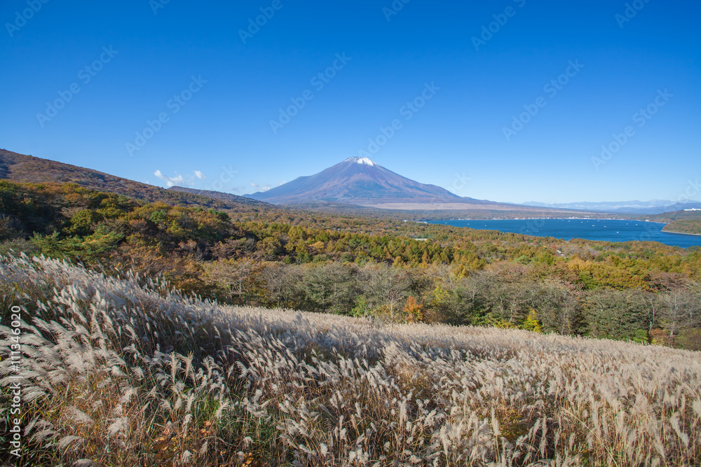 秋季富士山和山中湖