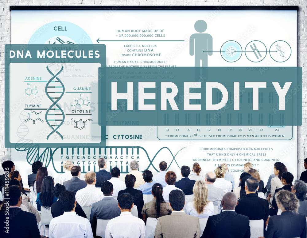 遗传生物学染色体分子科学概念