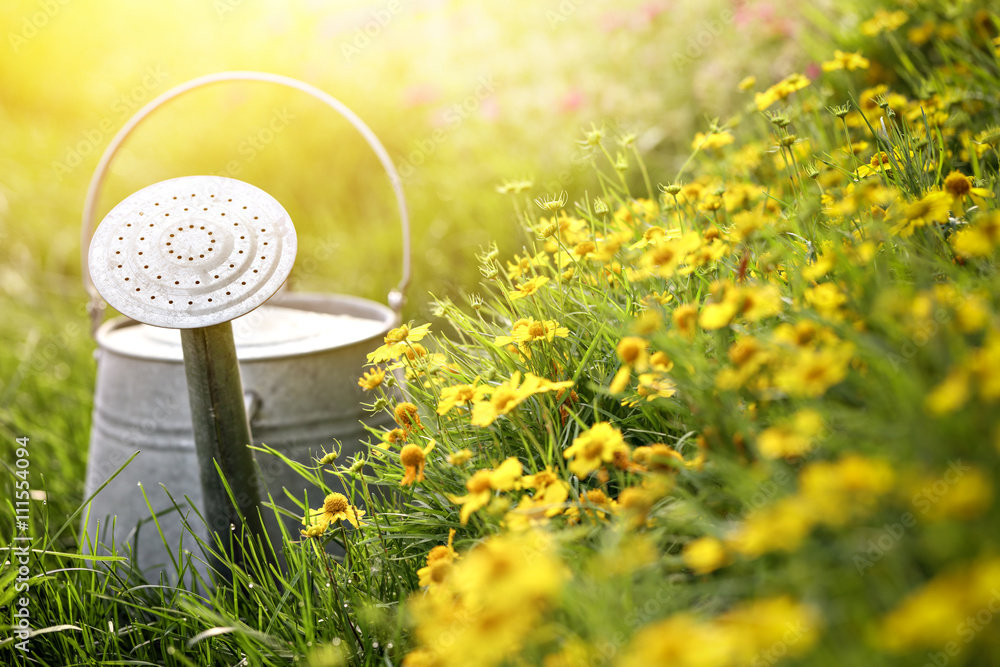 Gardening