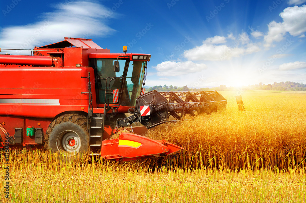 Combine working in field