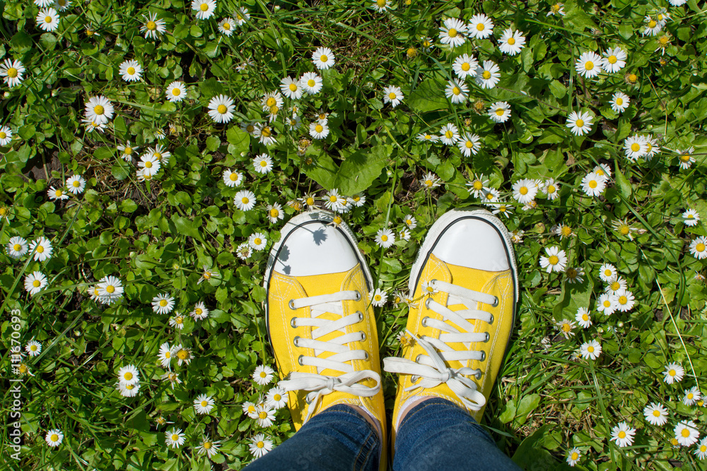 Yellow sneakers in a dasiy field. First person view