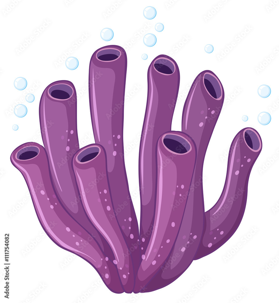 Purple coral with bubbles