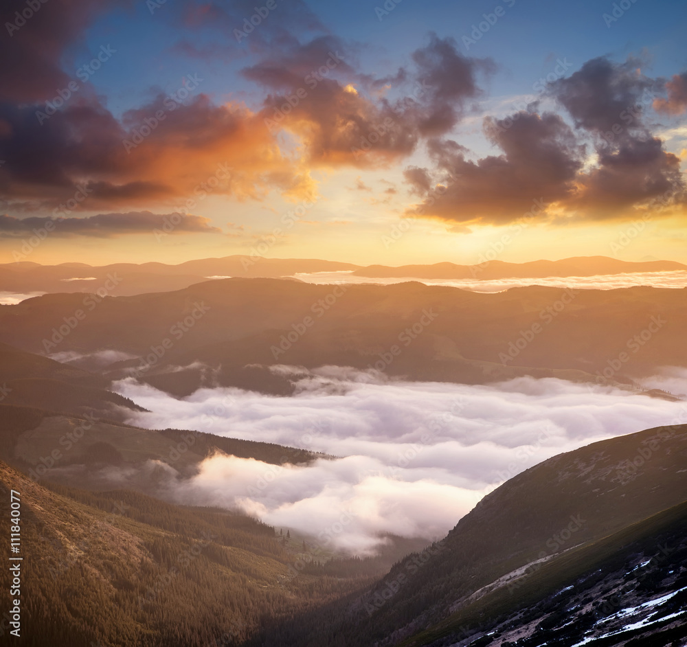 Mountain valley in the clouds during sunrise. Beautiful natural landscape