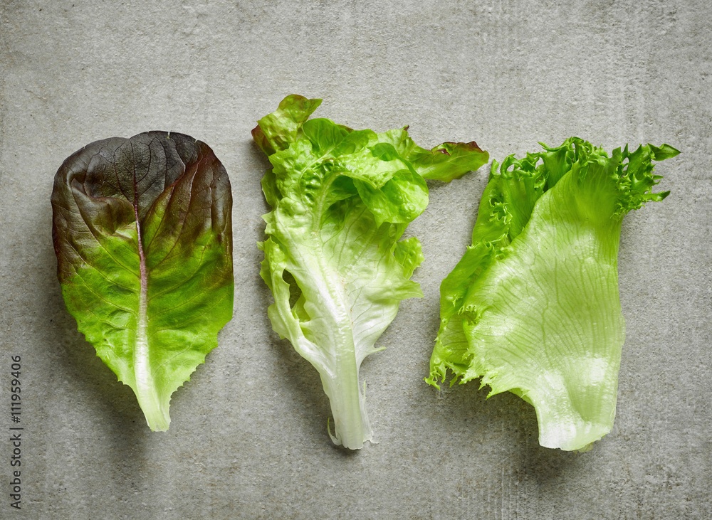 various kinds of lettuce