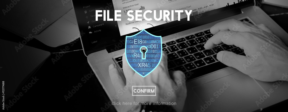 File Security Protection Privacy Interface Concept