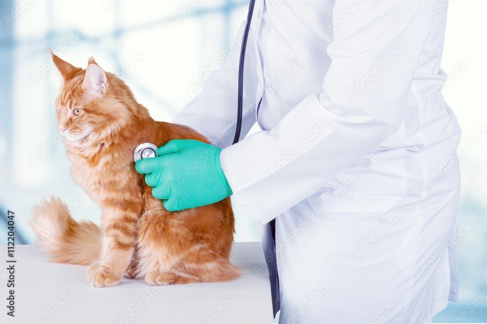 Veterinarian.