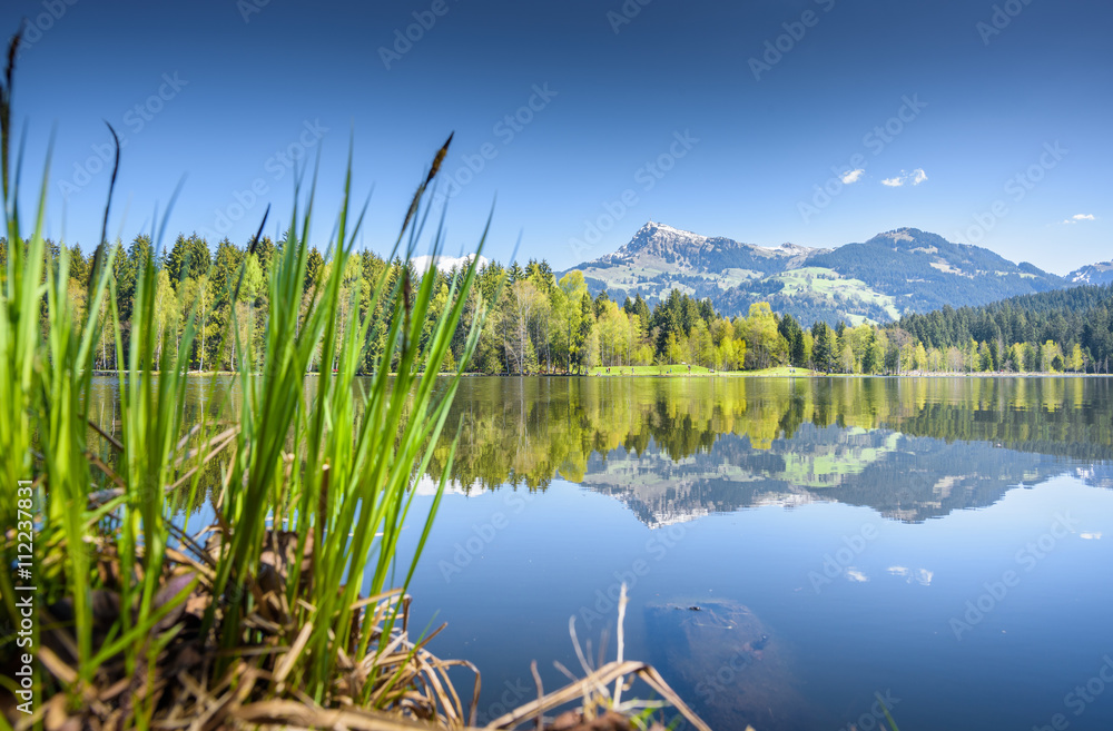 Kitzbüheler Horn reflecting in mountain lake, Kitzbühel, Tyrol, Austria