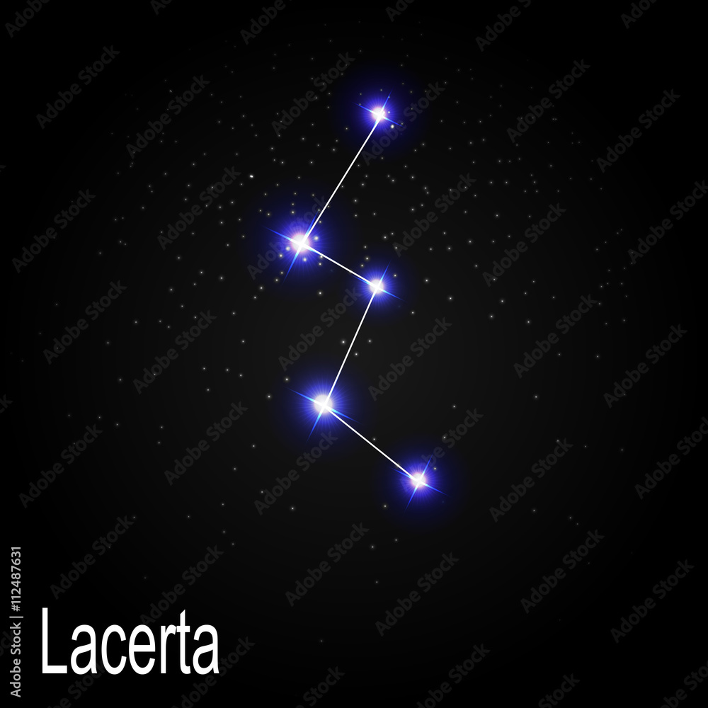 Lacerta Constellation with Beautiful Bright Stars on the Backgro