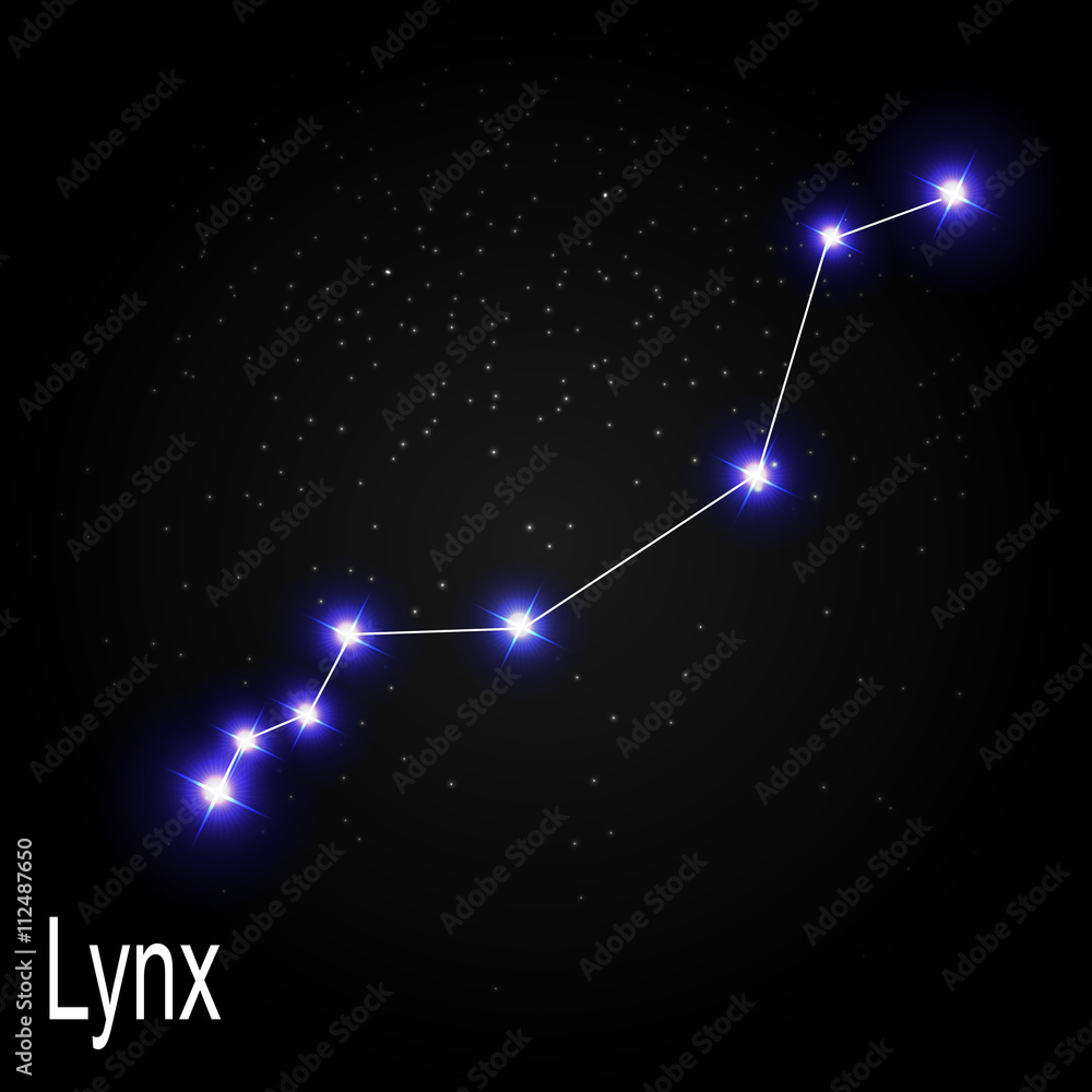 Lynx Constellation with Beautiful Bright Stars on the Background