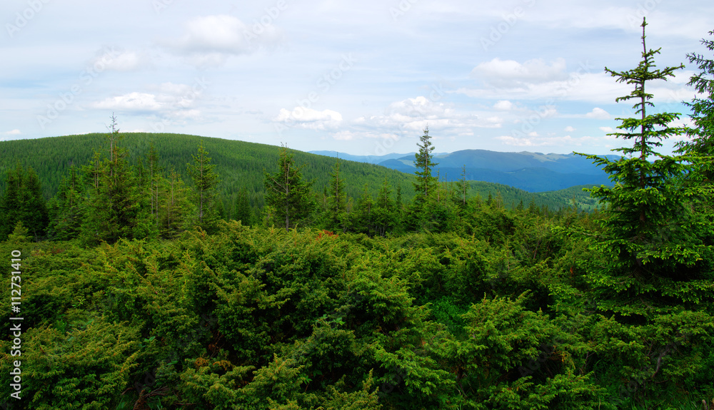 Mountain landscape in summer