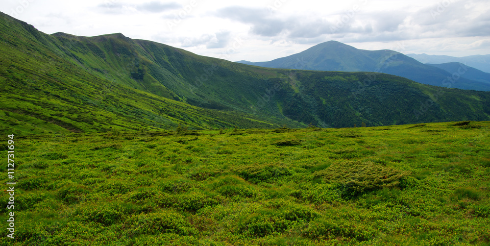 夏日山景