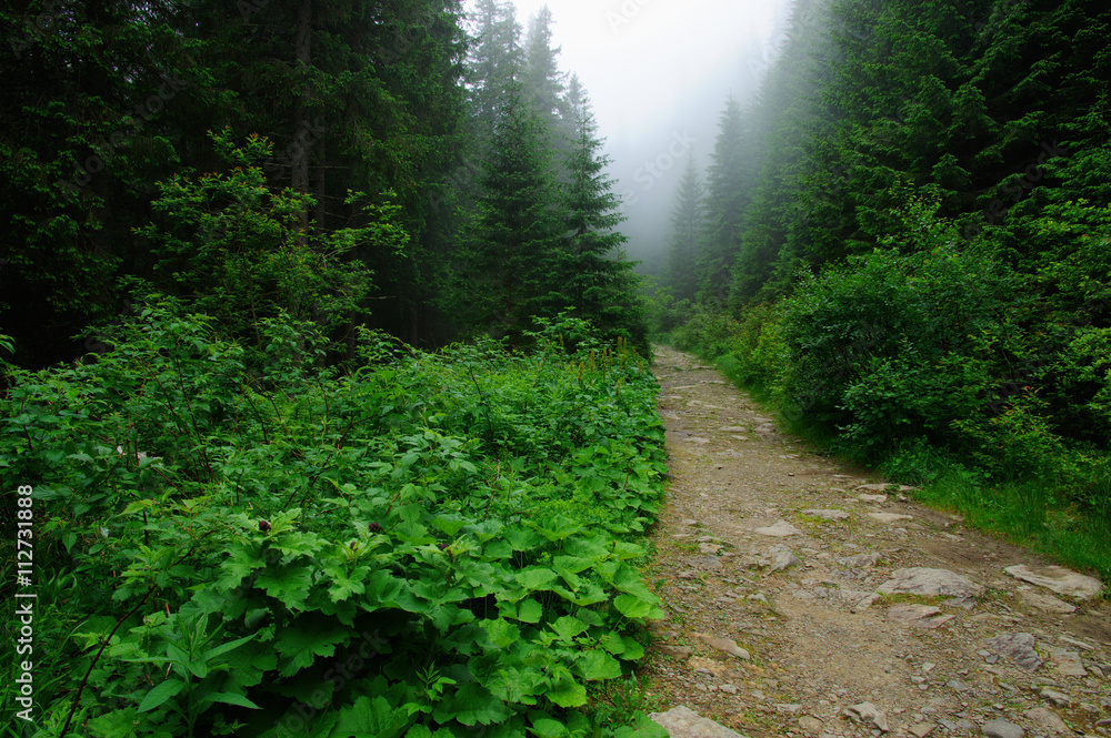 山中石路