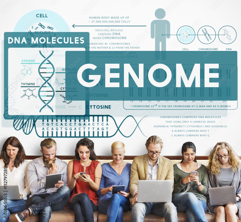 Genome Coding Biology Cell DNA Identity Stem Concept