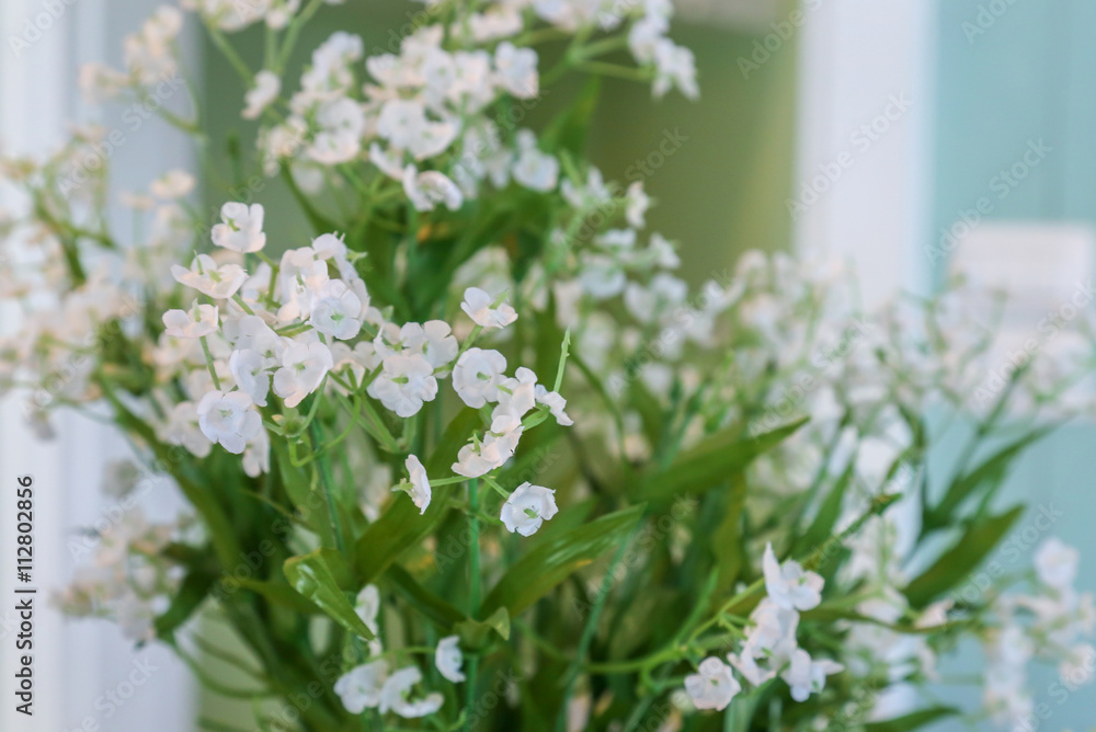 white flower in day light.jpg