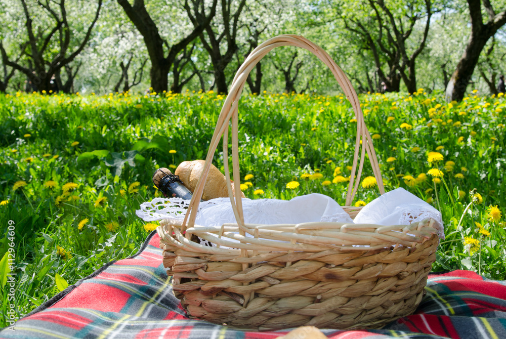 Picnic. Basket of bread, baguette on blankets. Green grass. Spring.