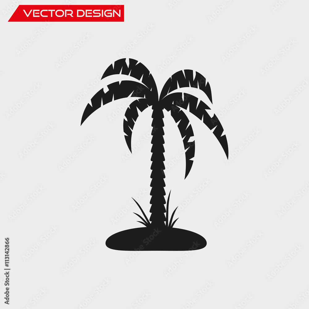 Silhouette of palm tree