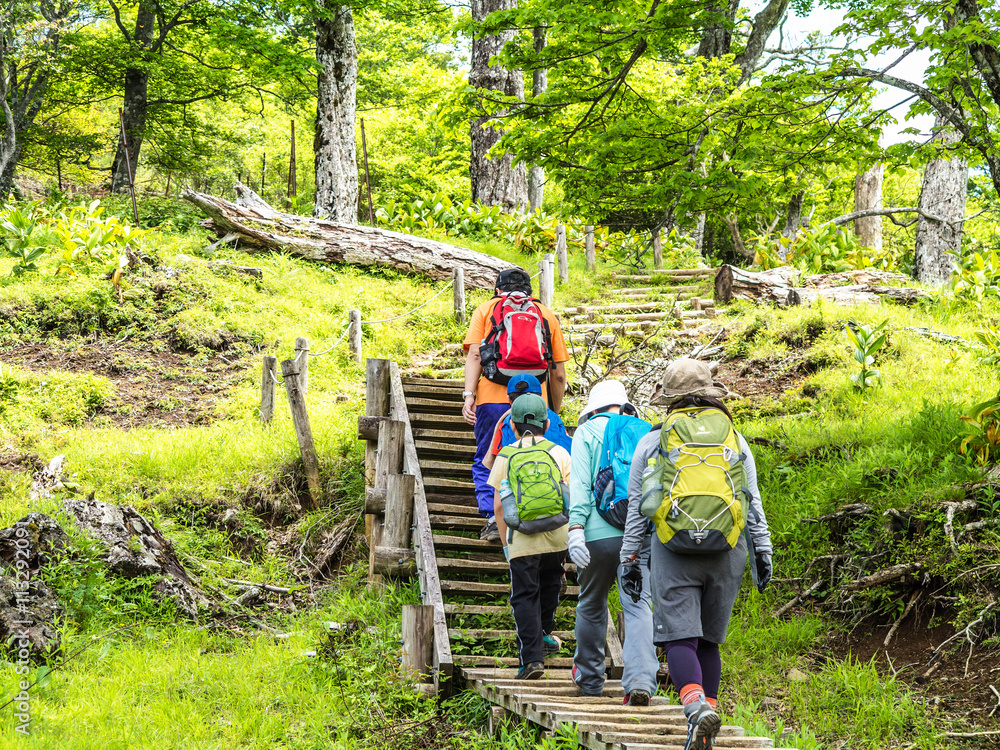 登山道