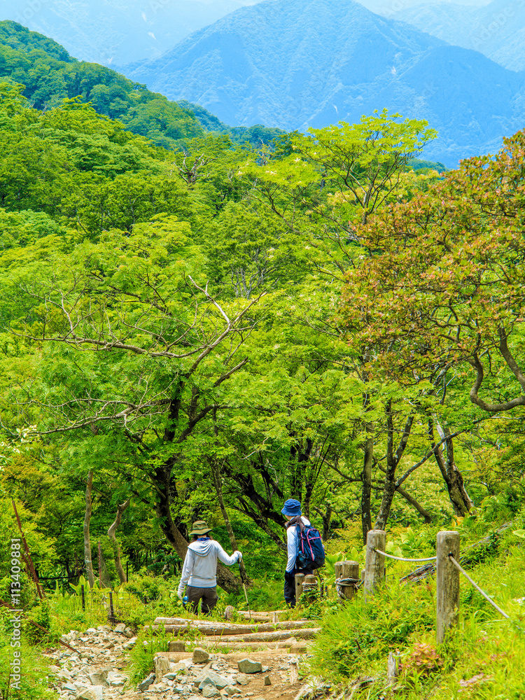 登山道