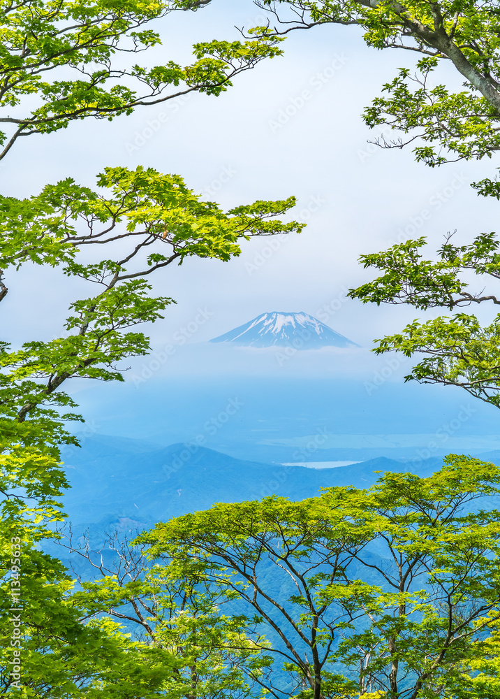 西丹沢から見る富士山