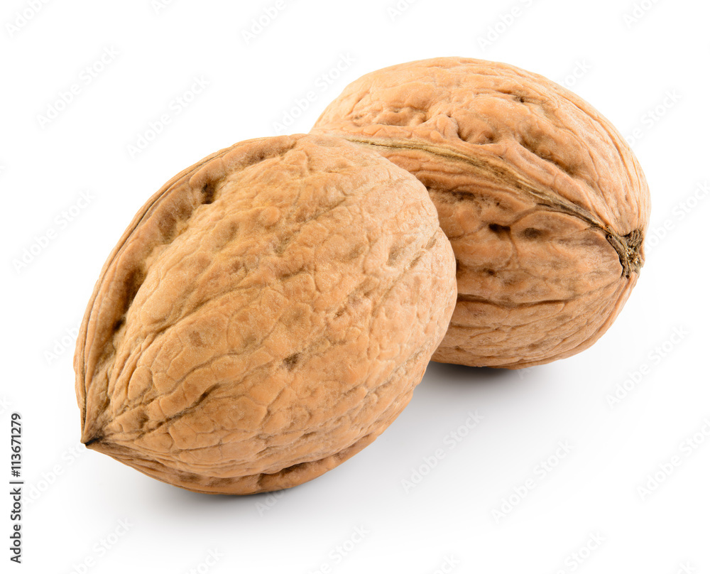 Two walnuts isolated on white background. With clipping path.