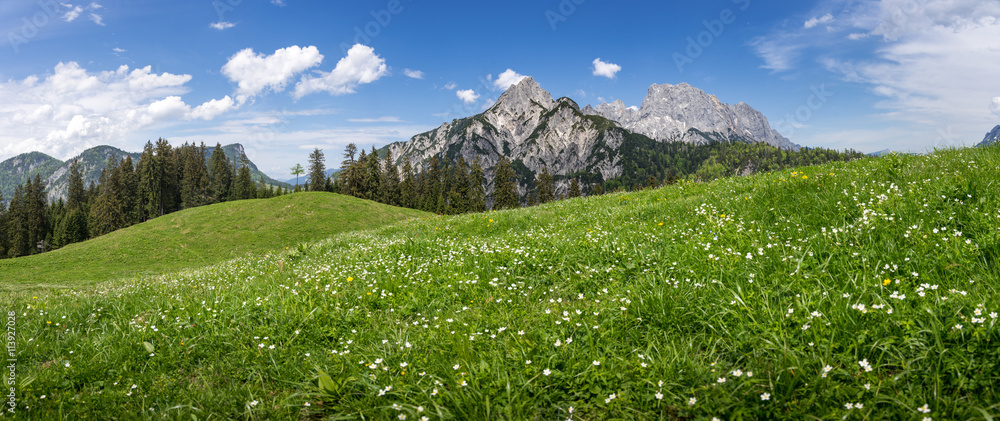 Alpine pasture in the beautiful Austrian Alps, 