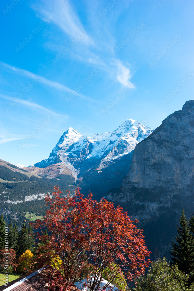 snow scene of alpes mountains in swiss