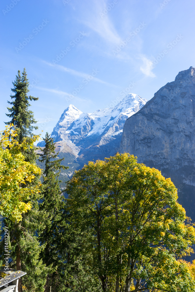 snow scene of alpes mountains