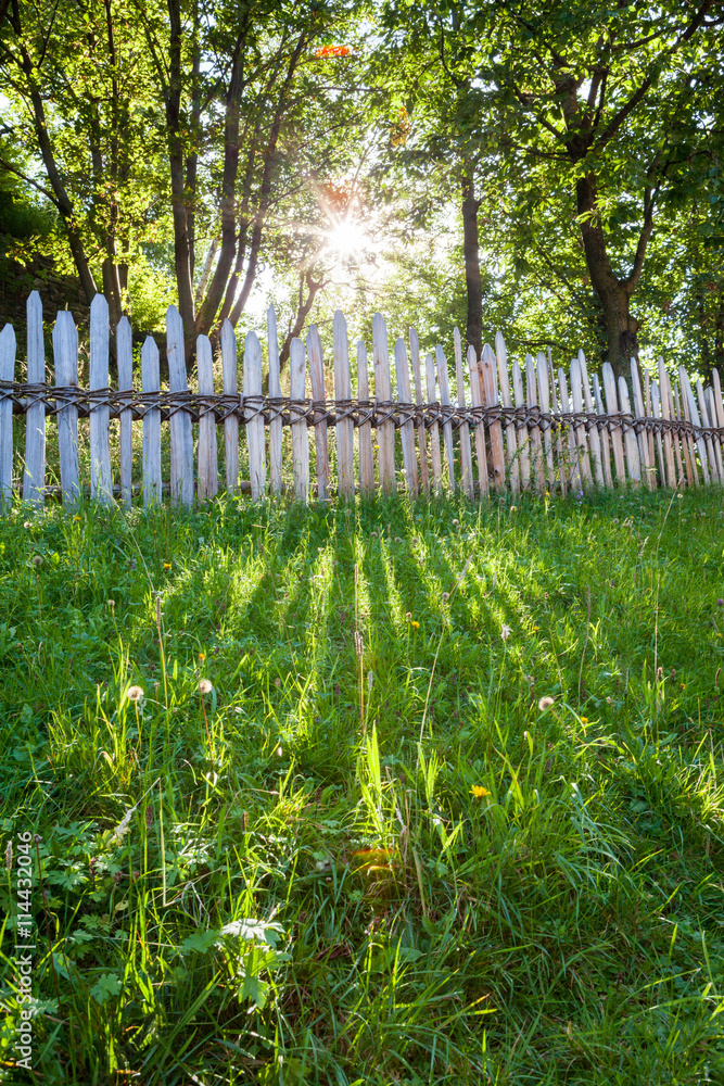 Raggi di Sole e Erba