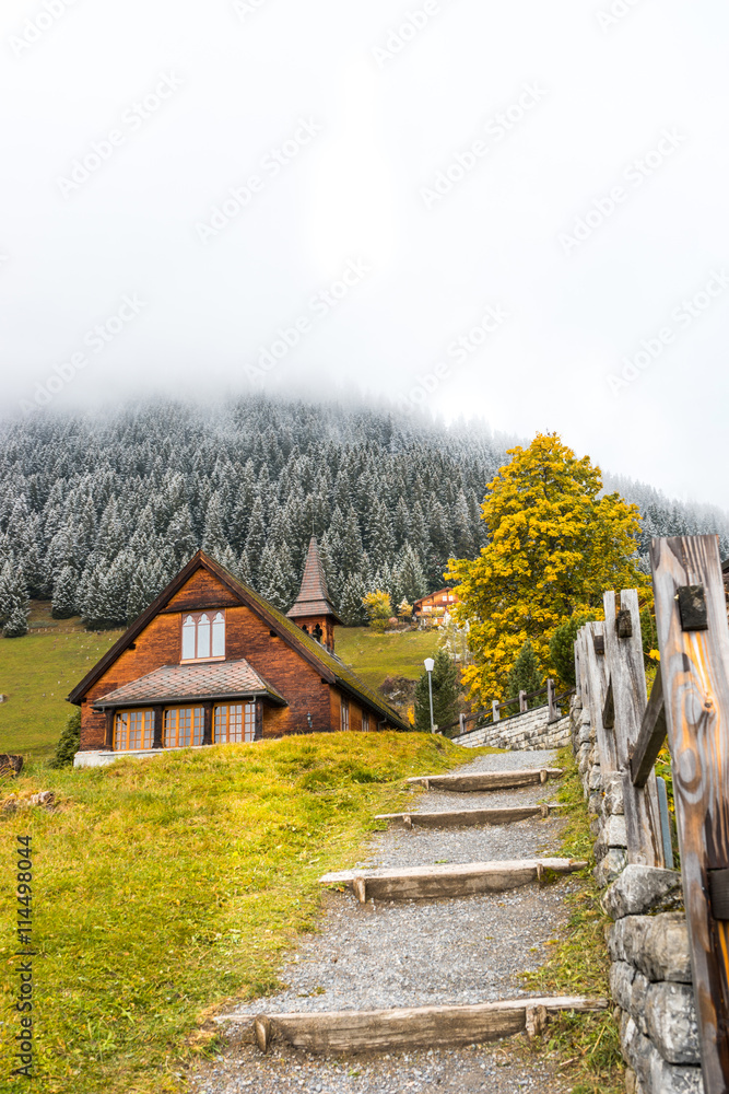 houses of small village near alpes mountains in switzerland