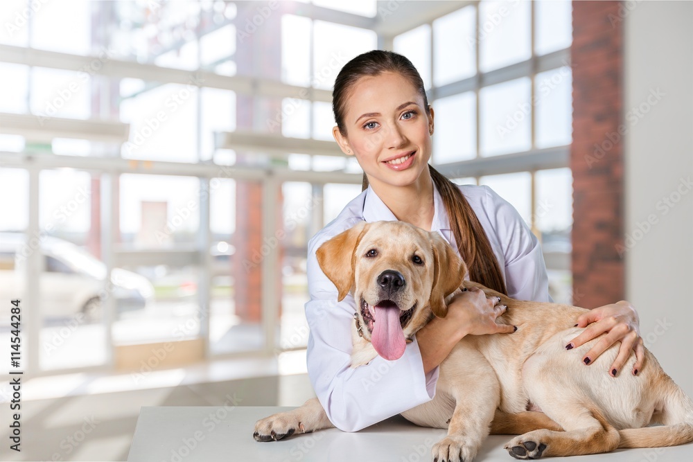 Veterinarian.