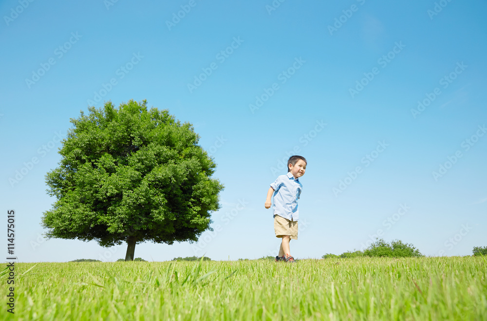 公園を散歩する男の子