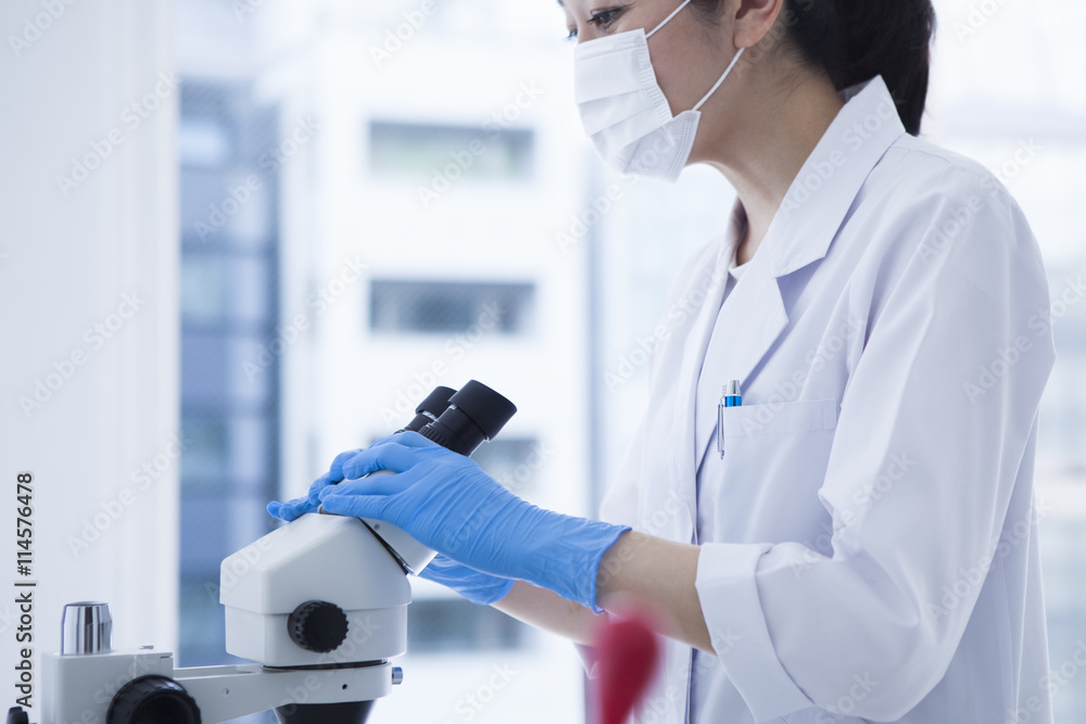 Women researchers are using the microscope