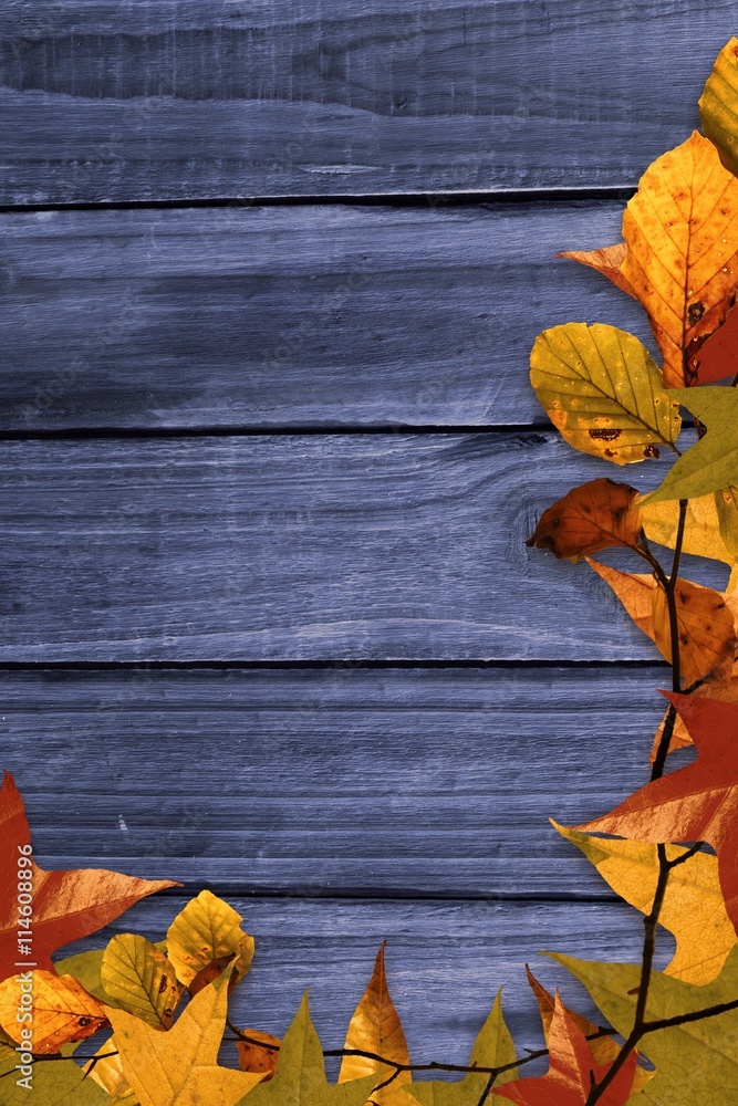 Autumn leaves on wood