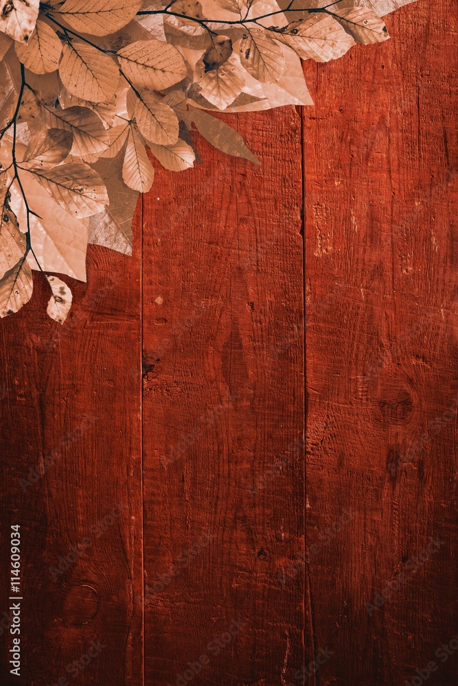 Autumn leaves on wood