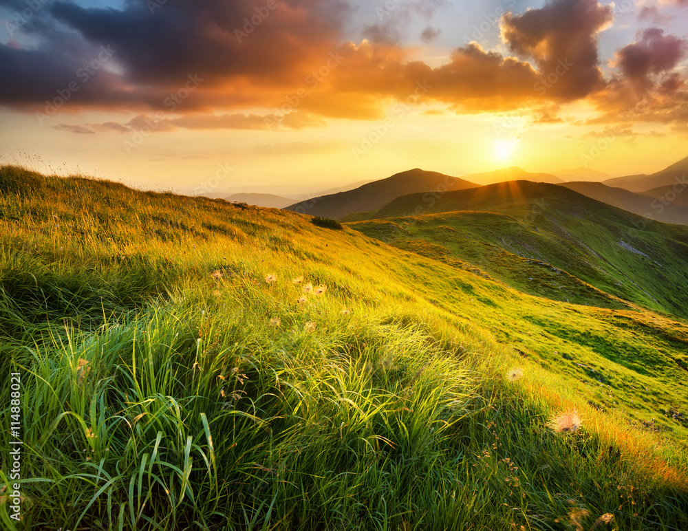 Mountain field during sunset. Beautiful natural landscape