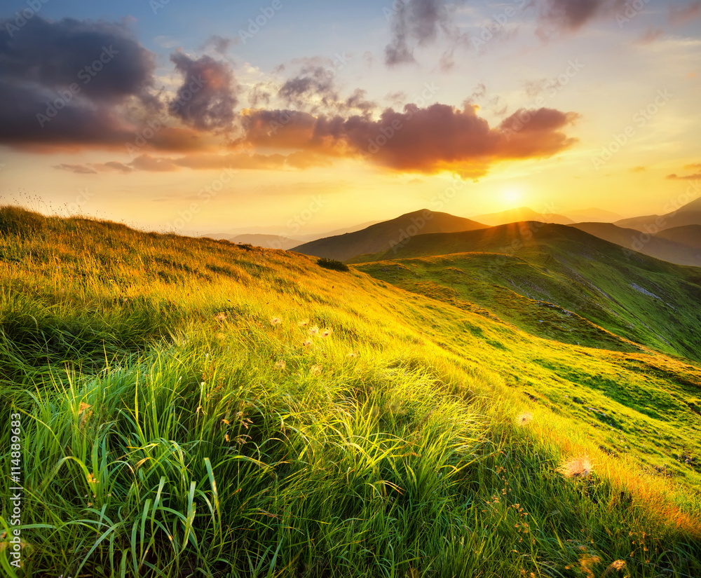 Mountain field during sunset. Beautiful natural landscape