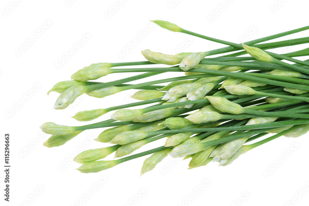 Chinese chives isolated on white background, selective focus