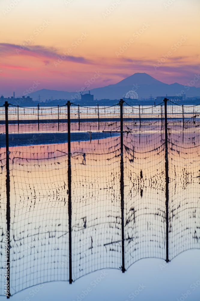 Tokyo bay and Mountain Fuji at beautiful twilight